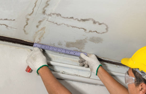 Reliable Mold Remediation contractor in Franklinville, NC by Local Water Damage Repair